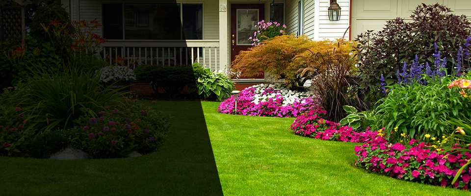 Mission Hills Landscapers