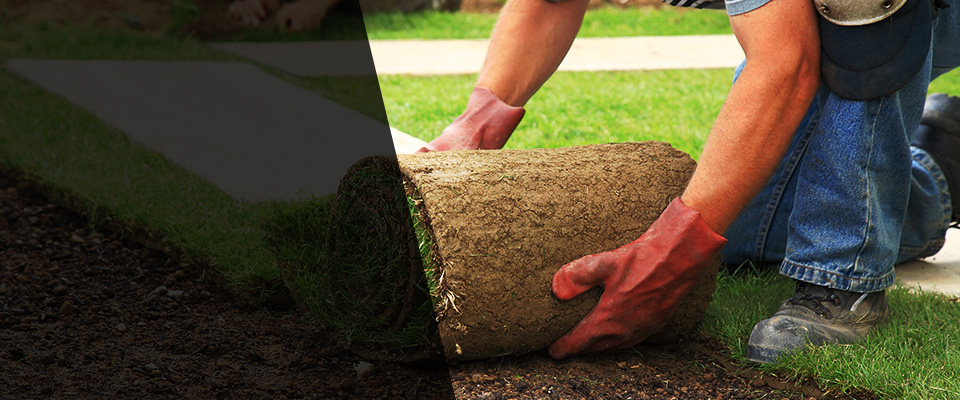 Mission Hills Landscapers